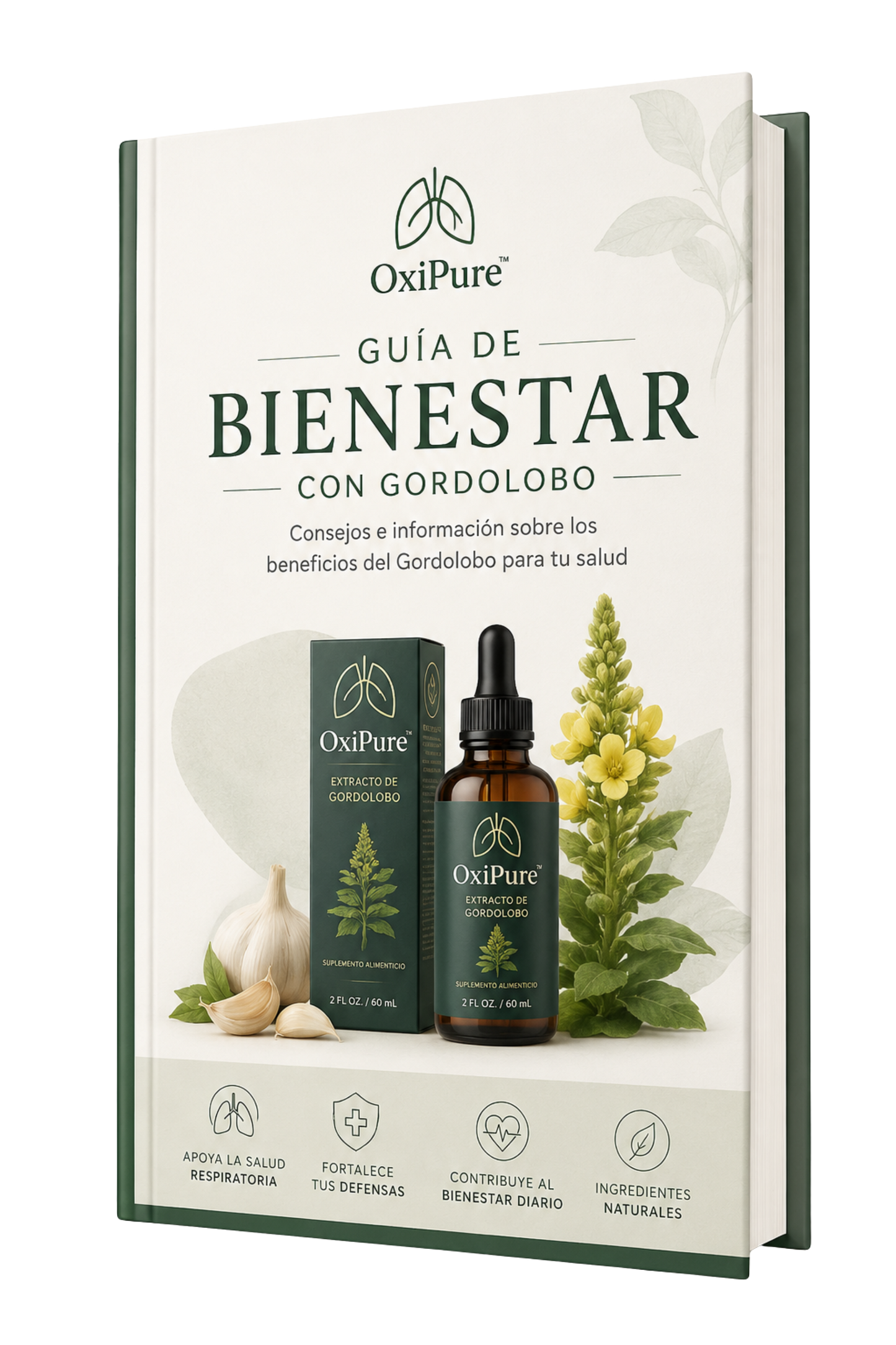 Guía de Bienestar con Gordolobo